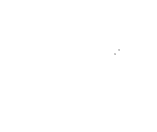 Scholar's IT logo